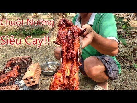 bắt chuột cống nhum về nướng siêu cay cùng Bác Sáu và cái kết!!!