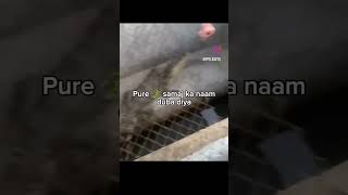 Try Not To Laugh Challenge 5