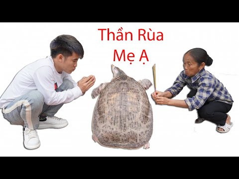 Hưng Vlog - Thách Mẹ Bà Tân Vlog Ăn Ba Ba Khổng Lồ Và Cái Kết | Prank Mom