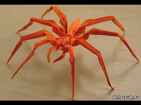 Пошаговый мастер-класс по изготовлению паука из бумаги Пошаговый мастер-класс по изготовлению паука из бумаги