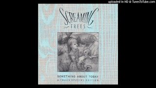 Watch Screaming Trees Ocean Of Confusion video