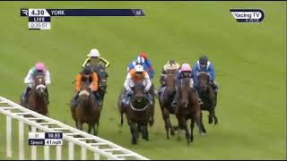 Today.at 1630-- York-- Today,, Live Race Poor Horse And The Jocky Fell Off So Sad..