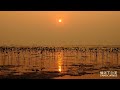 Mahler Symphony 5 Second Movement Part 1 Royal Concertgebouw Orchestra Bernard Haitink