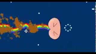 Nyan Fart So Funny