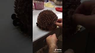 Ne Güzel Kirpi
