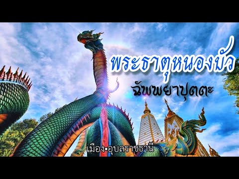 วัดพระธาตุหนองบัว • พระธาตุเจดีย์ศรีมหาโพธิ์ • พญานาคสีรุ้ง ตระกูลฉัพยาปุตตะ : อ.เมือง จ.อุบลราชธานี