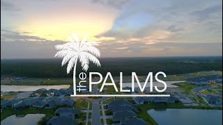 The Johnson Group Welcomes You to The Palms of Venetian Bay!