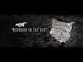 Mist Fountain Feat Haile Wstrn Mp3 Mist Fountain Feat Haile Wstrn Free Mp3 Songs Download