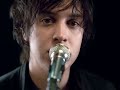 Reptilia