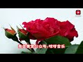 一首情歌,做手机铃声十年不舍得删除,好听极了,百听不厌!