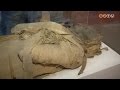 A szombathelyi múmia 64 év után visszatért