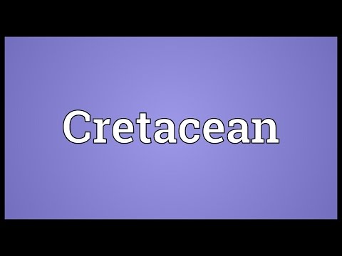 Header of cretacean