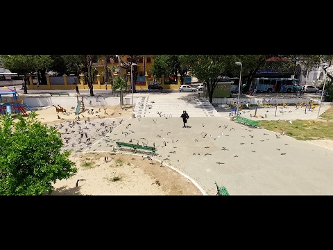 youtube player
