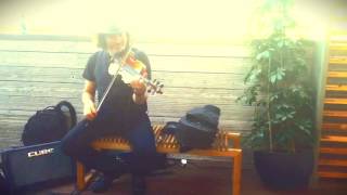 SEVEN CROWS - Solo Ambient Violin Music by Chris Murphy