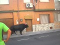 Torico de la cuerda 19/08/2012 c/ Santiago Apostol