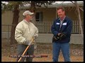 How To Dethatch A Lawn