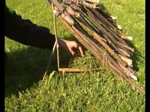 Piège à oiseaux / bird trap - YouTube Piège à oiseaux / bird trap - YouTube