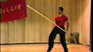Ving Tsun Kung Fu - 6-1/2 point staff