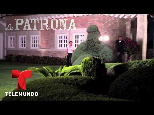 La Patrona / Detrás de la explosión con Tomás Goros / Telemundo