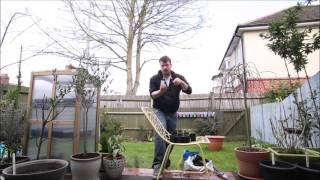 Planting Scabious Seeds Planting Scabious Seeds