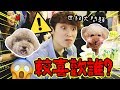 【世紀大問題】波友問我較喜歡Muffin還是Brownie