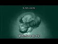 Da Me Non Venni Video preview