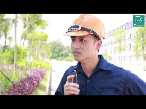 Nhà em có hoa vàng trước ngõ