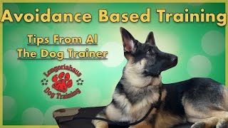 Avoidance Based Training- Tips from Al the Dog Trainer