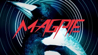 Feeder - Magpie