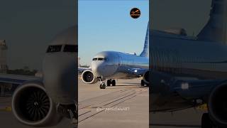 Boeing 737 Max 8 , American Airlines N347Tt , Age 1 Year