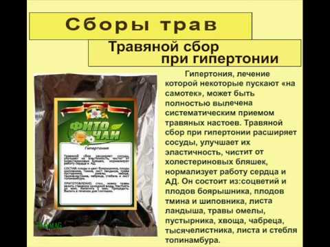 травяной сбор от паразитов отзывы травяной сбор от паразитов отзывы