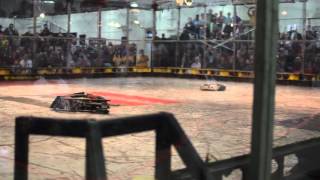 RG16 Touro Classic vs Wolverine