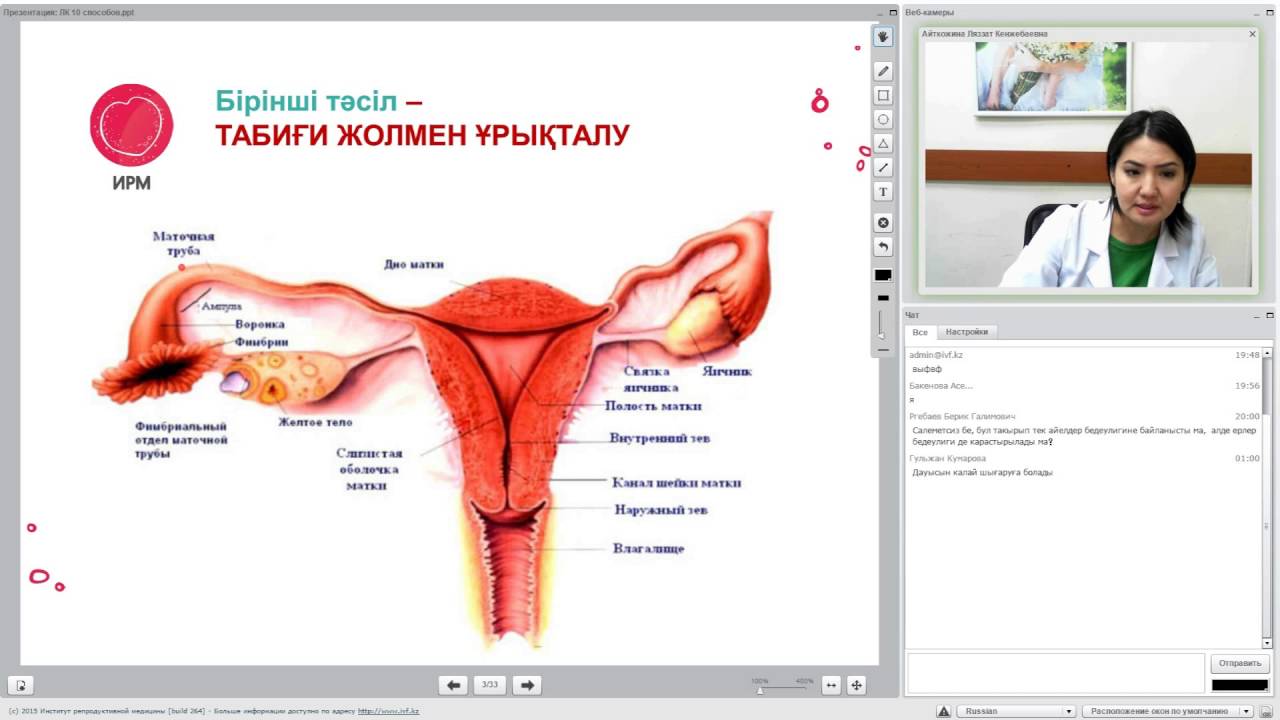 Костанай Кыздар Проститутки