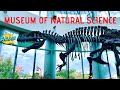 Museum of Natural Science/Raliegh NC | 2J MEDIA