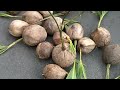 18th Coco Festival 2013 San Pablo City Laguna Full