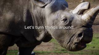 Save The Northern White Rhino - Join The San Diego Zoo Global Wildlife Conservancy