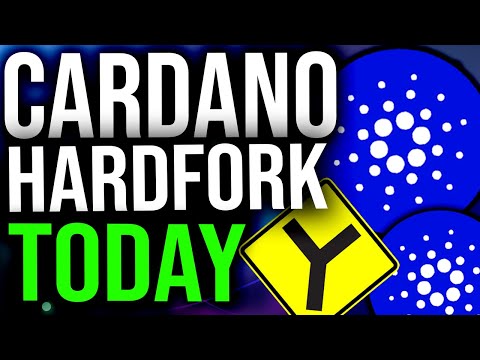 CARDANO HARDFORK TODAY ON TESTNET!! HUGE STEPS TOWARDS SMART CONTRACT LAUNCH (Cardano Daily #66)