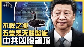 共同富裕中國夢,恐變共同貧窮?五隻黑天鵝盤旋北京,中共不祥凶兆?中南海內鬥火熱,恐釀內戰?極左社會主義復辟,重演文革腥風血雨?(2021.9.7)|世界的十字路口 唐浩