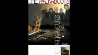 Watch Walkabouts Devil In The Details video