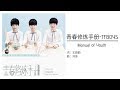 青春修炼手册 TFBOYS LYRICS - MANUAL OF YOUTH ( Pinyin/ English/ Chinese)