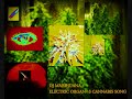DJ MARIHUANA : ELECTIC ORGAN `S CANNABIS SONG  - ORIGINAL REGGAE - RAUCH & QUALM - EDIT 2013 :-) !!!