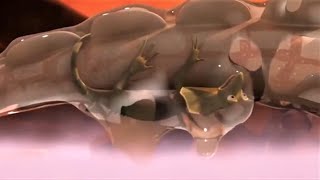 Inside A Crocodiles Mouth Bbtm