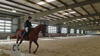 Torie Dev 1st Level 1 Torie Dev 1st Level 1