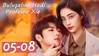 Buluşalım Hadi Profesör Xie 5-8 Bölümler Lets Date, Professor Xie Xu Jiaqi, Harry Zhang