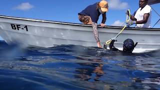 Global Fin Print East Caribbean