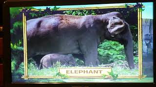 Tarzan 2 Terk & Tantors Jungle Guide 9000 Subscribers Special