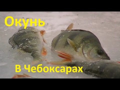 рыболов 21 чебоксары вк рыболов 21 чебоксары вк