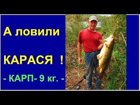 ловим карася на червя ловим карася на червя