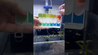 Cân Bằng Ph Đơn Giản Với Combo Vi Sinh Ph Ph- Của Nhà Koika