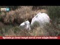 AIXMHTV - Θανατηφόρο τροχαίο κοντά στον κόμβο Συκιάς AIXMHTV - Θανατηφόρο τροχαίο κοντά στον κόμβο Συκιάς